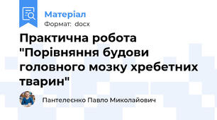 Практична робота "Порівняння будови головного мозку хребетних тварин"