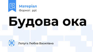 Будова ока