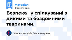 Безпека   у спілкуванні з дикими та бездомними  тваринами.