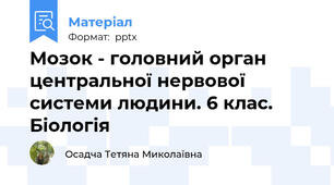 Мозок - головний орган центральної нервової системи людини. 6 клас. Біологія