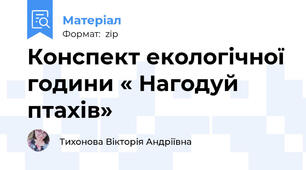 Конспект екологічної години « Нагодуй птахів»