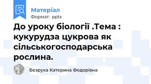 До уроку біології .Тема : кукурудза цукрова як сільськогосподарська рослина.