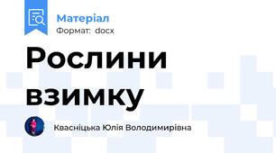Рослини взимку