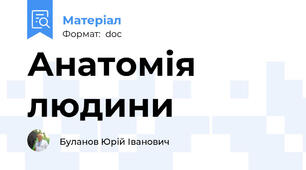 Анатомія людини