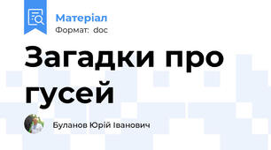 Загадки про гусей