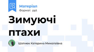 Зимуючі птахи