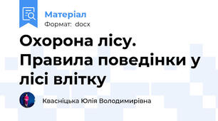 Охорона лісу. Правила поведінки у лісі влітку