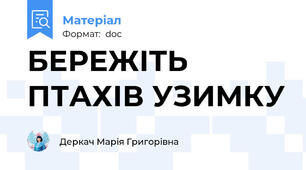 БЕРЕЖІТЬ ПТАХІВ УЗИМКУ
