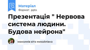 Презентація " Нервова система людини. Будова нейрона"