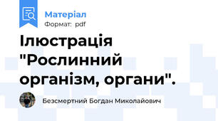 Ілюстрація "Рослинний організм, органи".