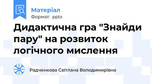 Дидактична гра "Знайди пару" на розвиток логічного мислення