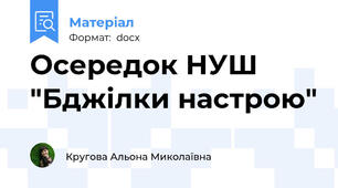 Осередок НУШ "Бджілки настрою"