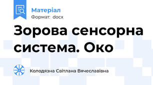 Зорова сенсорна система. Око