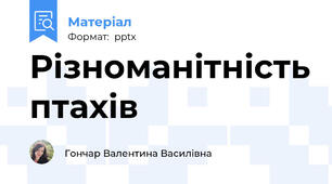 Різноманітність птахів