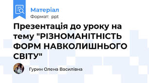 Презентація до уроку на тему "РІЗНОМАНІТНІСТЬ ФОРМ НАВКОЛИШНЬОГО СВІТУ"