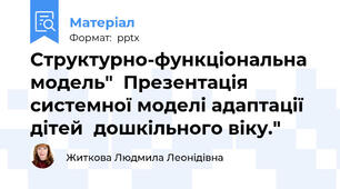 Структурно-функціональна модель"  Презентація системної моделі адаптації дітей  дошкільного віку."