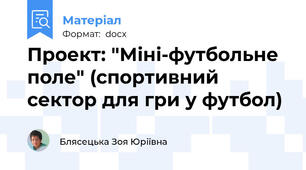 Проект: "Міні-футбольне поле" (спортивний сектор для гри у футбол)