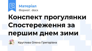 Конспект прогулянки Спостереження за першим днем зими