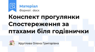 Конспект прогулянки Спостереження за птахами біля годівнички