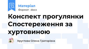 Конспект прогулянки Спостереження за  хуртовиною