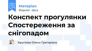 Конспект прогулянки Спостереження за снігопадом