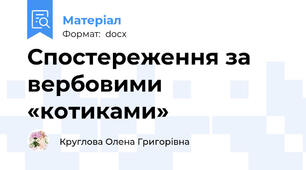 Спостереження за вербовими «котиками»