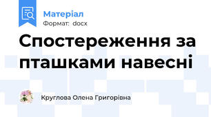 Спостереження за пташками навесні