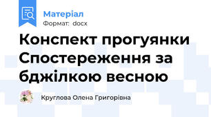 Конспект прогуянки Спостереження за бджілкою весною