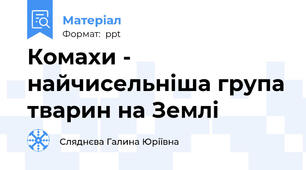 Комахи - найчисельніша група тварин на Землі