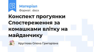 Конспект прогуянки Спостереження за комашками влітку на майданчику