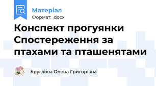 Конспект прогуянки Спостереження за птахами та пташенятами