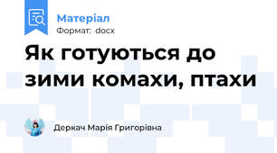 Як готуються до зими комахи, птахи