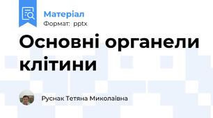 Основні органели клітини