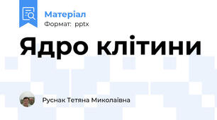 Ядро клітини