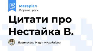 Цитати про Нестайка В.