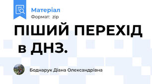 ПІШИЙ ПЕРЕХІД  в ДНЗ.