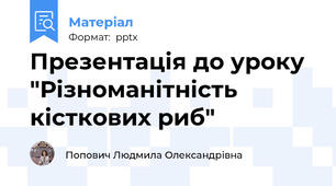Презентація до уроку  "Різноманітність кісткових риб"