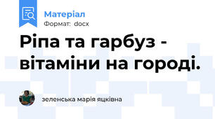 Ріпа та гарбуз - вітаміни на городі.