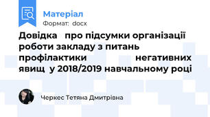 Довідка   про підсумки організації роботи закладу з питань профілактики                    негативних явищ  у 2018/2019 навчальному році