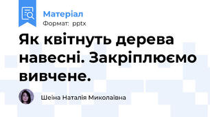 Як квітнуть дерева навесні. Закріплюємо вивчене.