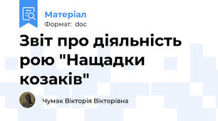 Звіт про діяльність рою "Нащадки козаків"