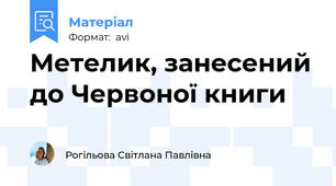 Метелик, занесений до Червоної книги