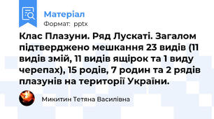 Клас Плазуни. Ряд Лускаті. Загалом підтверджено мешкання 23 видів (11 видів змій, 11 видів ящірок та 1 виду черепах), 15 родів, 7 родин та 2 рядів плазунів на території України.