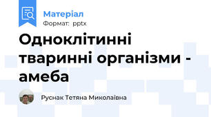 Одноклітинні тваринні організми - амеба