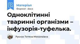 Одноклітинні тваринні організми – інфузорія-туфелька.