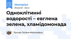 Одноклітинні водорості – евглена зелена, хламідомонада