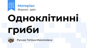 Одноклітинні гриби