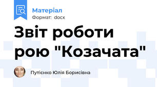 Звіт роботи рою "Козачата"