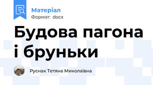 Будова пагона і бруньки