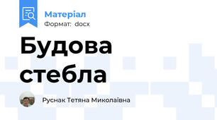 Будова стебла